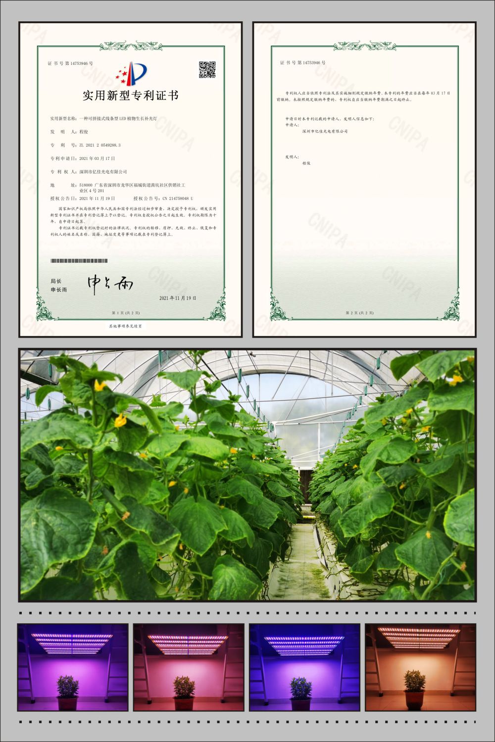 尊龙凯时植物农场灯适用新型专利